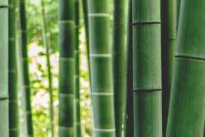 Bamboe plantenhanger